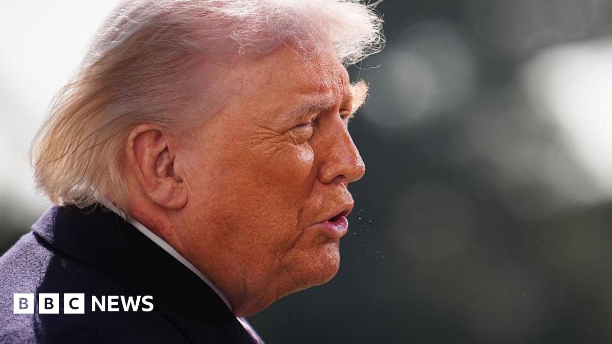 Head and shoulders profile of Donald Trump