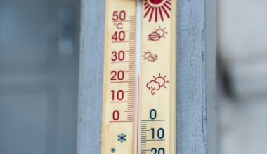 Two daily weather records broken on Vancouver Island as mainland sees all-time highs