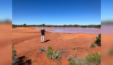 Man Snaps Pic Of Bird — And Realizes He's Photographed The World's Fastest Animal