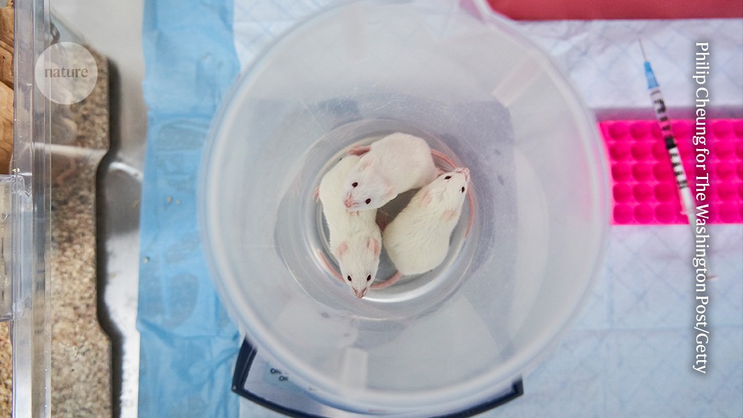 The age of animal experiments is waning. Where will science go next?