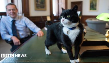Palmerston stands on a green table looking around while Permanent Under Secretary, Simon McDonald smiles looking on.