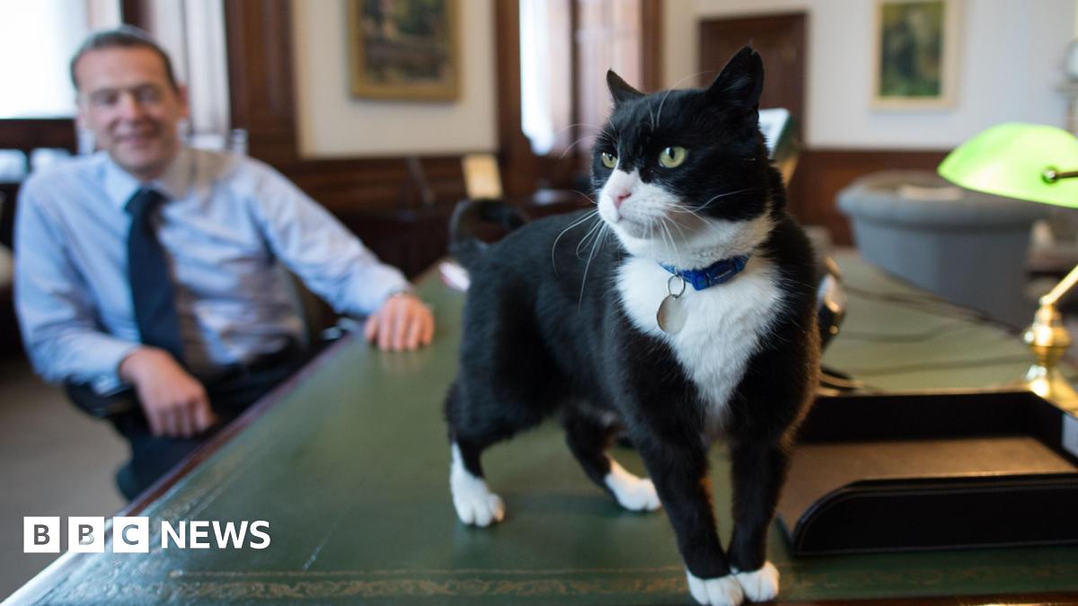 Palmerston stands on a green table looking around while Permanent Under Secretary, Simon McDonald smiles looking on.