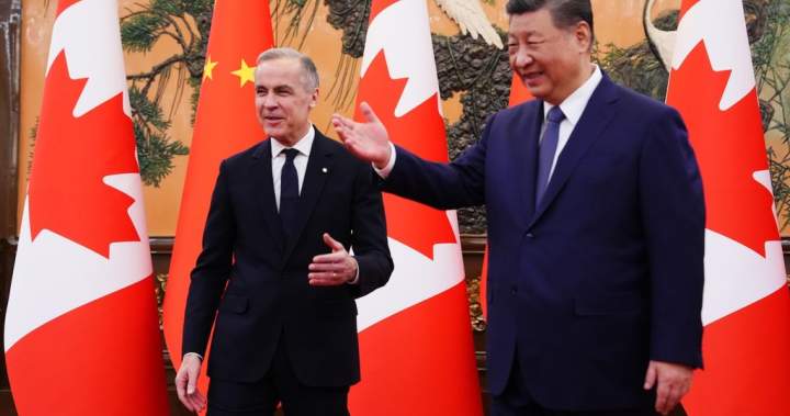 China drops visa requirement for Canadian tourists, business visitors - National