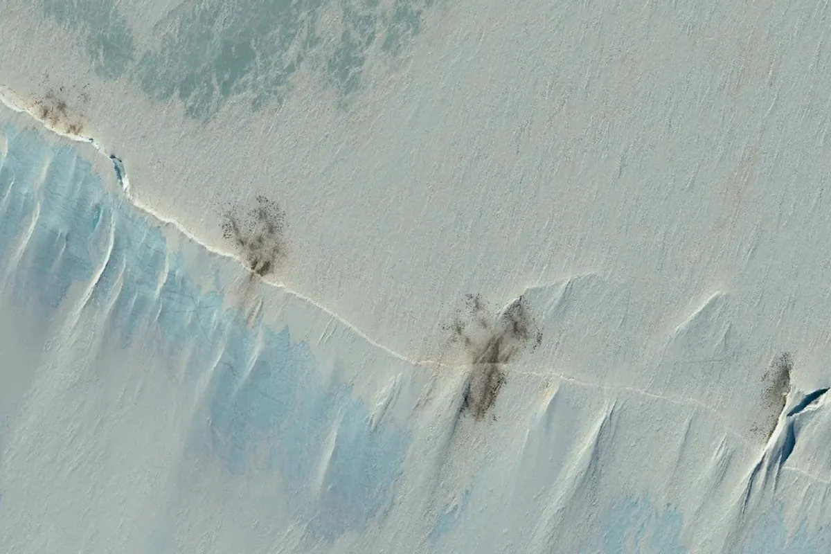 Brown specks on satellite image spark warning of 'catastrophic consequences' for beloved species