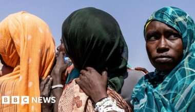 Sudan civil war: RSF war crimes saw 6,000 killed in three days in el-Fasher, UN says - BBC