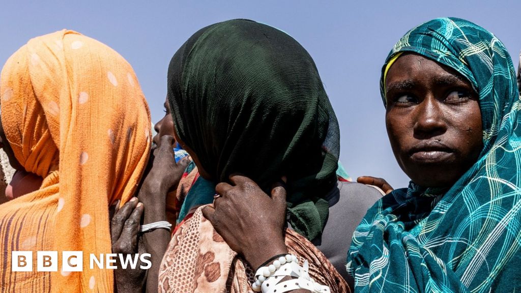Sudan civil war: RSF war crimes saw 6,000 killed in three days in el-Fasher, UN says - BBC