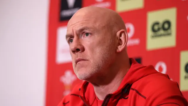 Wales head coach Steve Tandy