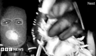 An image of the suspect in the kidnapping of Nancy Guthrie - a person is seen close up in black and white, wearing a balaclava and holding an obscured item in their left hand, which we can see has a black glove covering it