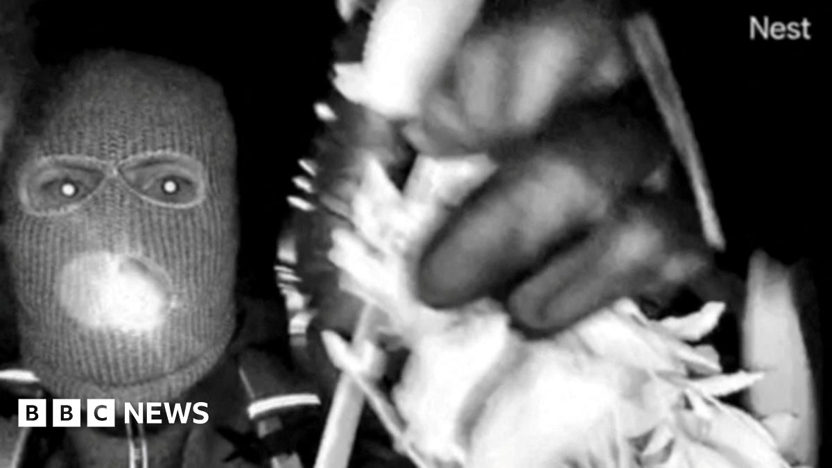 An image of the suspect in the kidnapping of Nancy Guthrie - a person is seen close up in black and white, wearing a balaclava and holding an obscured item in their left hand, which we can see has a black glove covering it