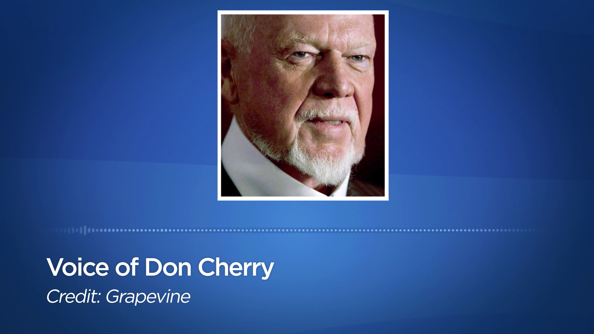 Click to play video: 'Don Cherry launches new podcast'