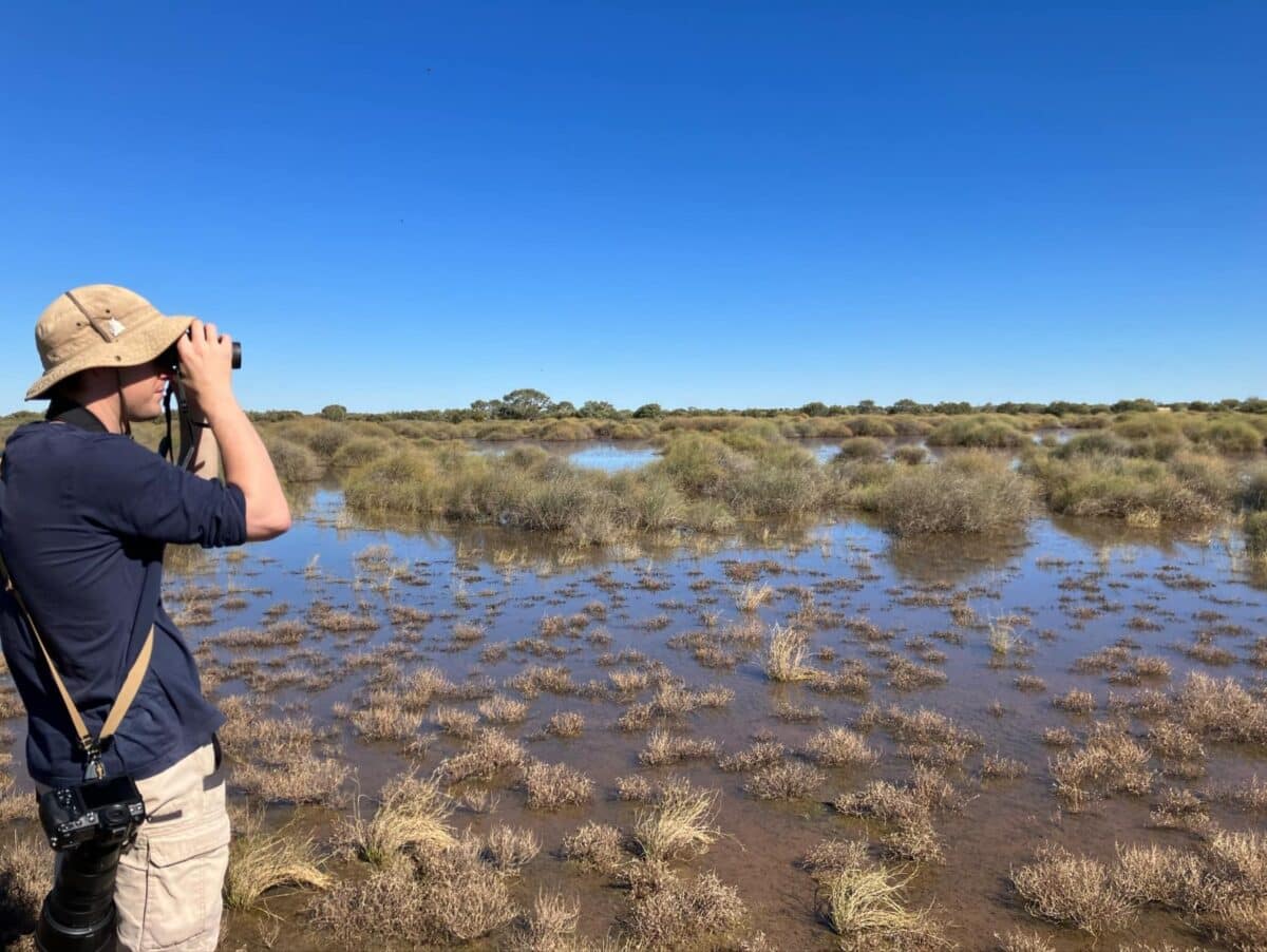 Dr Tim Henderson An Avid Birdwatcher