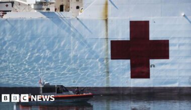 Greenland says 'no thanks' to Trump US hospital boat - BBC