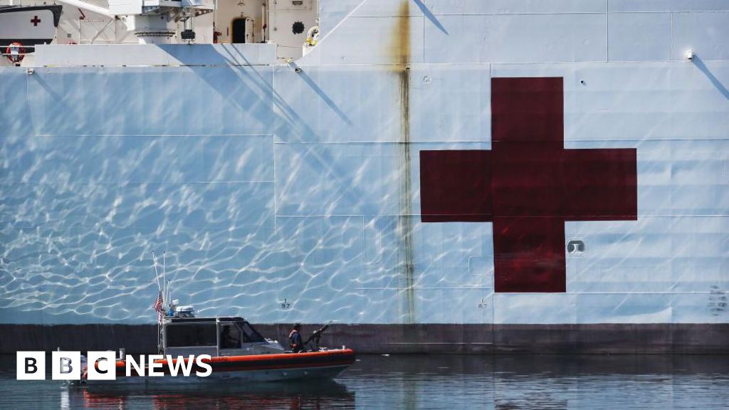 Greenland says 'no thanks' to Trump US hospital boat - BBC