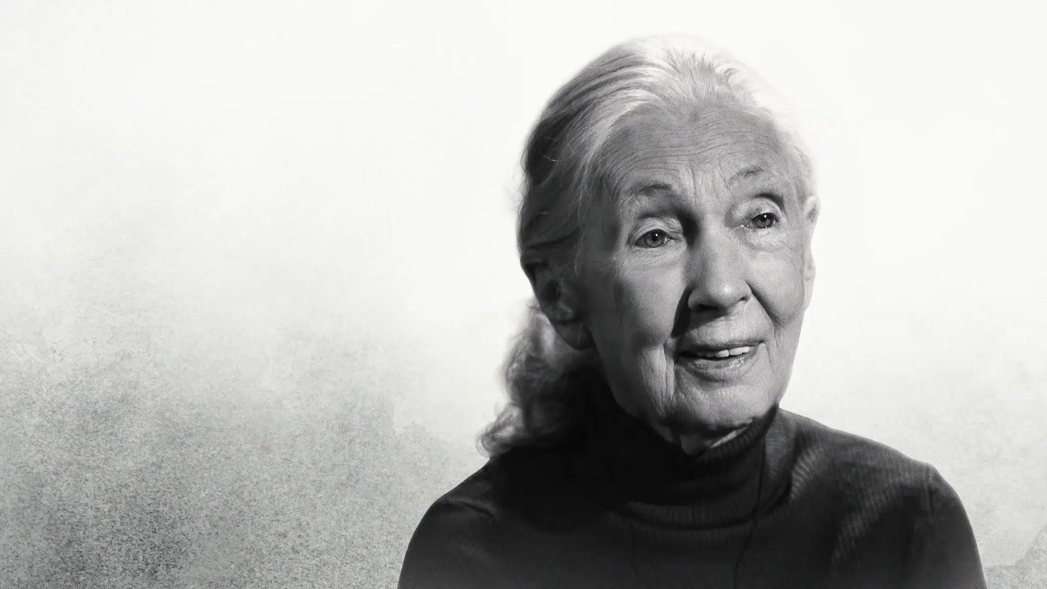 Dr. Jane Goodall Honored In Final Interview On Netflix In ‘Famous Last Words’ Following Her Death