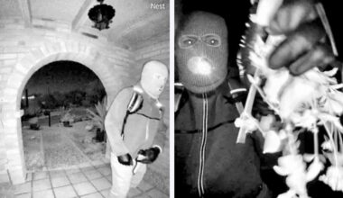 FBI releases new photos, videos of subject in Nancy Guthrie's disappearance, showing masked person on porch
