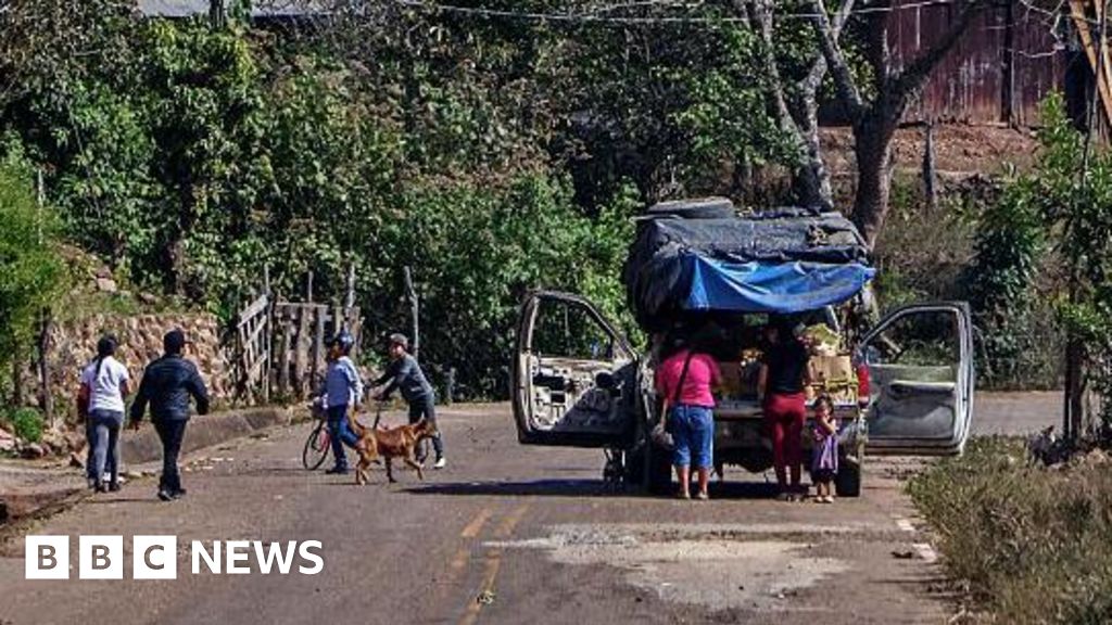 Multiple employees of Canadian mining company found dead in Mexico - BBC
