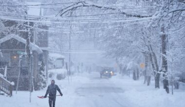 Latest storm hits N.S. with blast of winter weather: delays and school cancellations