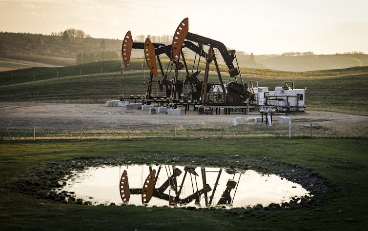 pumpjacks in a green field