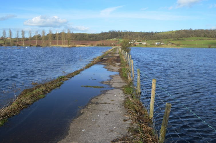Flooded fields with a fence in between.