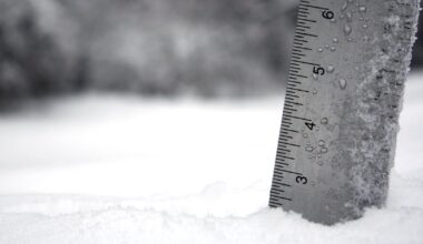 Snow totals in Massachusetts for February 7, 2026