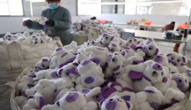 Supreme Court strikes down tariffs: Meet the toymaker who sued Trump