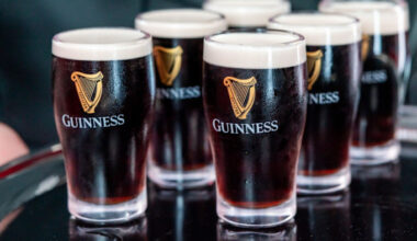 New Diageo CEO slashes dividend and signals price cuts