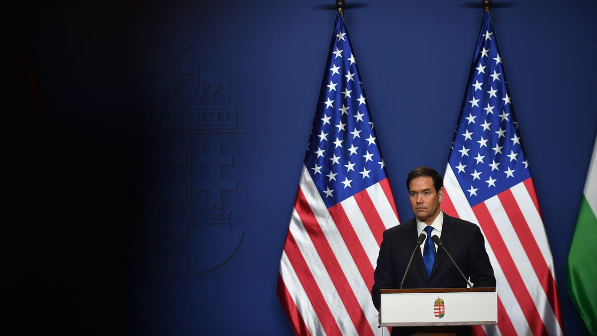 We Hit You Because We Love You