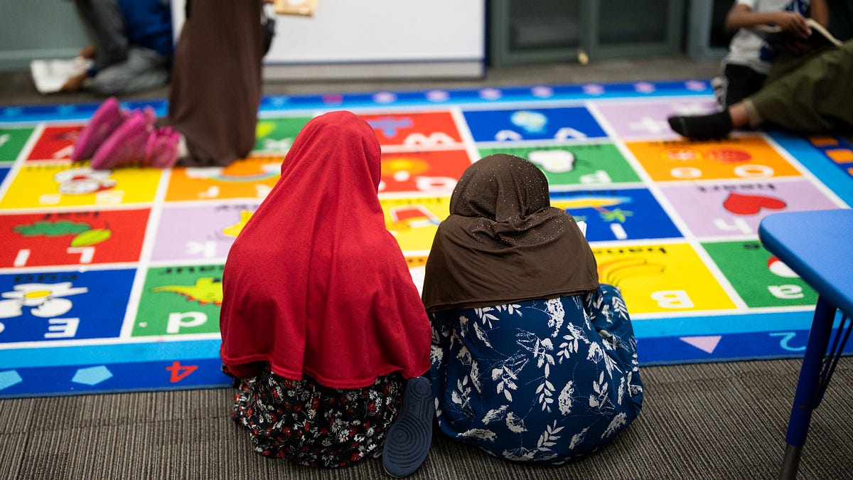 The real reason behind Minnesota's Somali fraud scandal