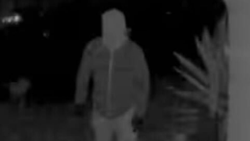 Nancy Guthrie case: Suspect approached her door before the night of her disappearance, source says