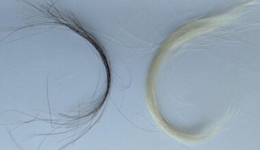 Archived hair samples from a baby (right) and adult (left).