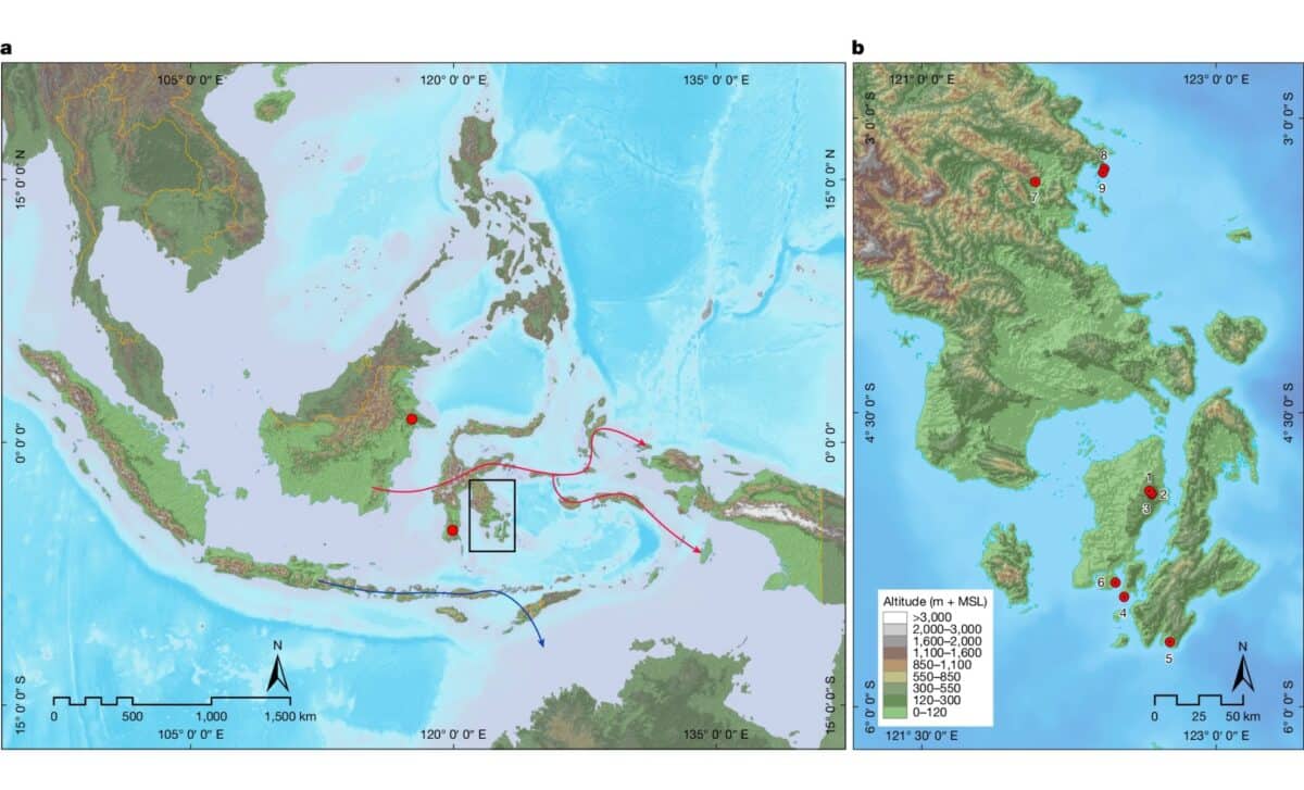 Map Of Sulawesi And The Wider Region