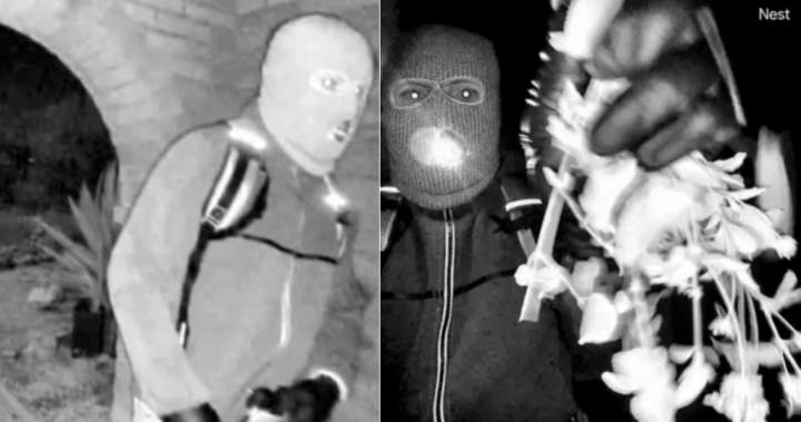 FBI releases photos of potential suspect in Nancy Guthrie disappearance - National