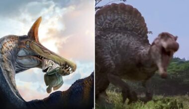 Scientists discover dino from 'hell' with sword protruding from head