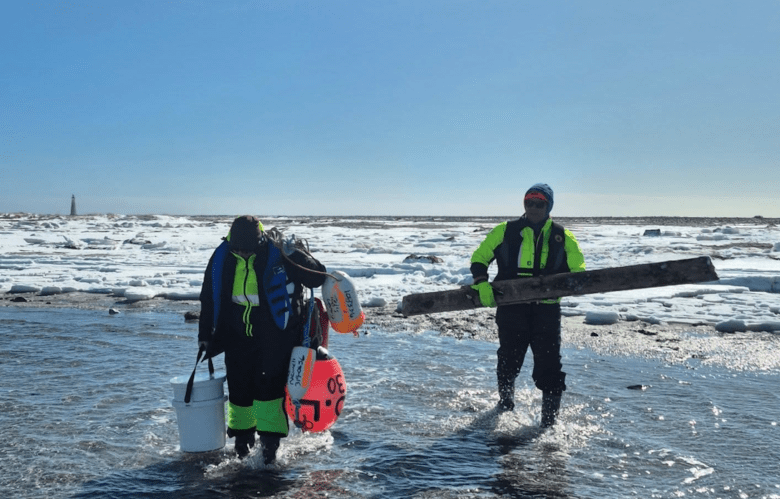 Two people dressed in black and yellow fluorescent gear walk in waves along a snowy shoreline laden down with fishing debris and a plank of wood.
