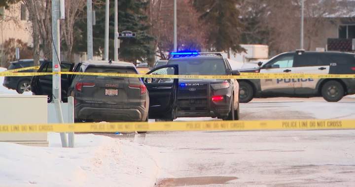 Edmonton police seek public help on investigation into fatal shooting