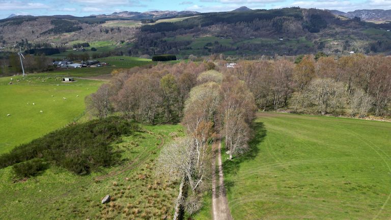 A general view of the area where Brian Low's body was discovered. Pic: PA