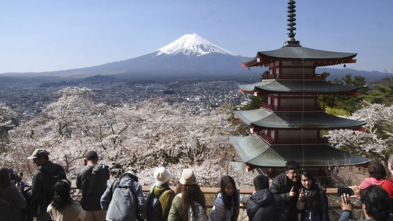 The view from Arakurayama Sengen Park has become a big draw for tourists. Pic: AP