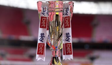 Championship play-off trophy