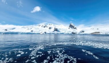 Sharks Have Officially Reached Antarctica, and Scientists Are Shook