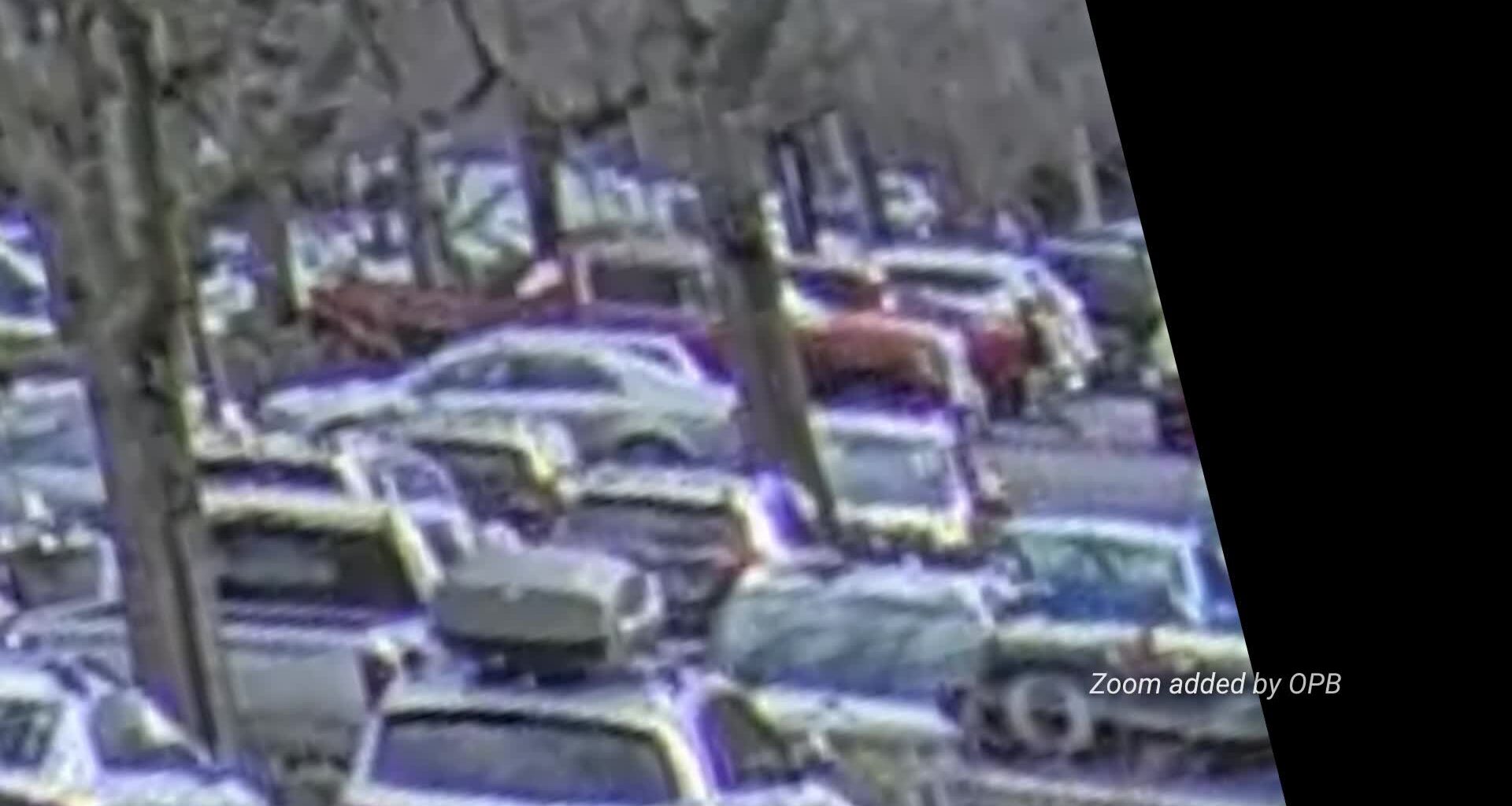 New footage shows Border Patrol shooting in Portland from distance - Oregon Public Broadcasting - OPB