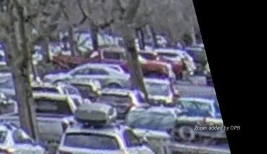 New footage shows Border Patrol shooting in Portland from distance - Oregon Public Broadcasting - OPB