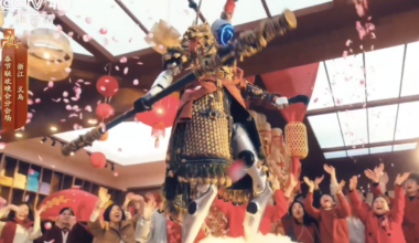 Chinese Kung-Fu Robots Put Western Efforts to Shame