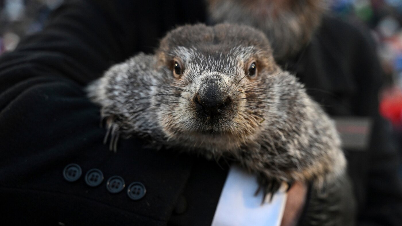 Punxsutawney Phil is said to have seen his shadow, forecasting 6 more weeks of wintry weather : NPR