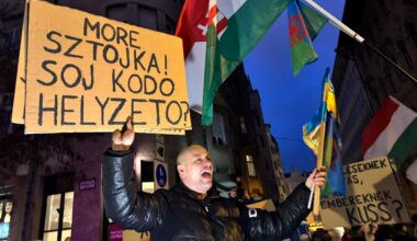 Hungary's Roma community leads demonstration against minister's comments