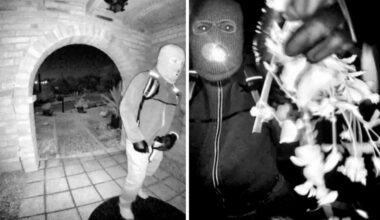 Investigators seek more neighbors' security videos in Nancy Guthrie case