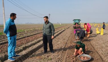 AI boosts efficiency for some in India's farming and education sectors