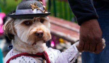 Photos of dogs in their costumes as pet lovers kick off Carnival