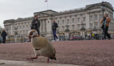 A look at some of the scandals that shook Britain's monarchy