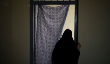 Afghanistan penal code provides harsher punishments for animal mistreatment than domestic violence