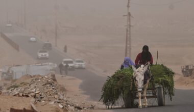 Doctors Without Borders halts operations at Gaza's Nasser Hospital